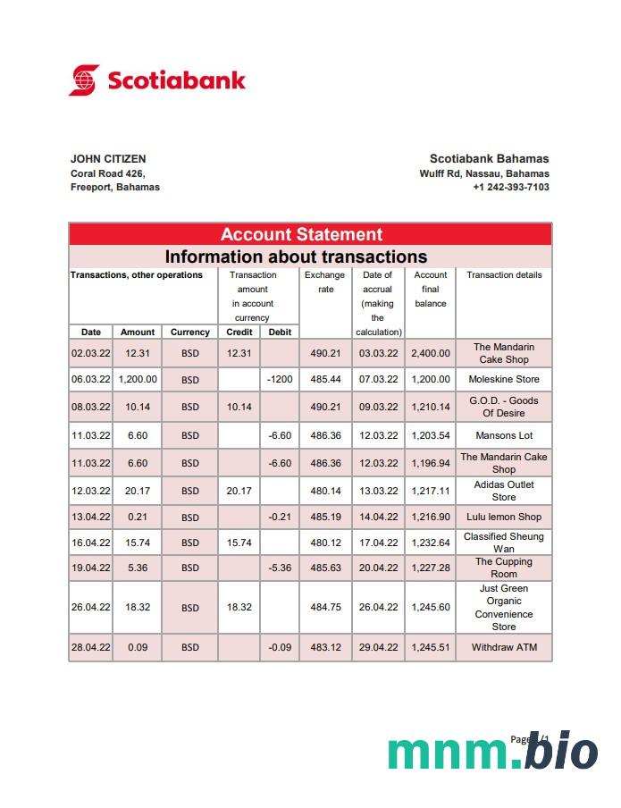Bahamas FirstCaribbean International Bank szablon wyciągu bankowego w programie Word i PDF